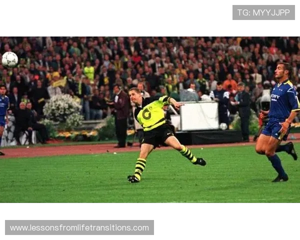 里肯赞哈兰德进球如洪水决堤球队誓带胜利果实凯旋多特